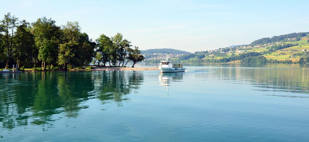 Seehotel Delphin Meisterschwanden Kültér fotó