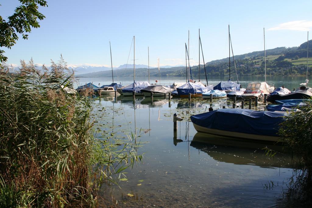 Seehotel Delphin Meisterschwanden Kültér fotó