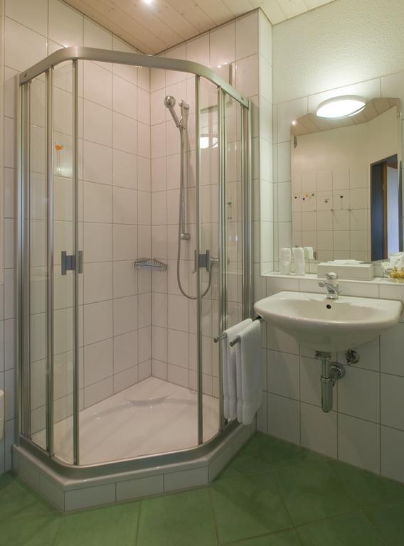 Seehotel Delphin Meisterschwanden Szoba fotó